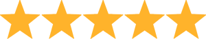 4.6 stars